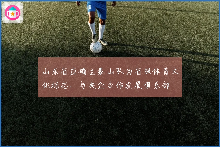 山东省应确立泰山队为省级体育文化标志，与央企合作发展俱乐部